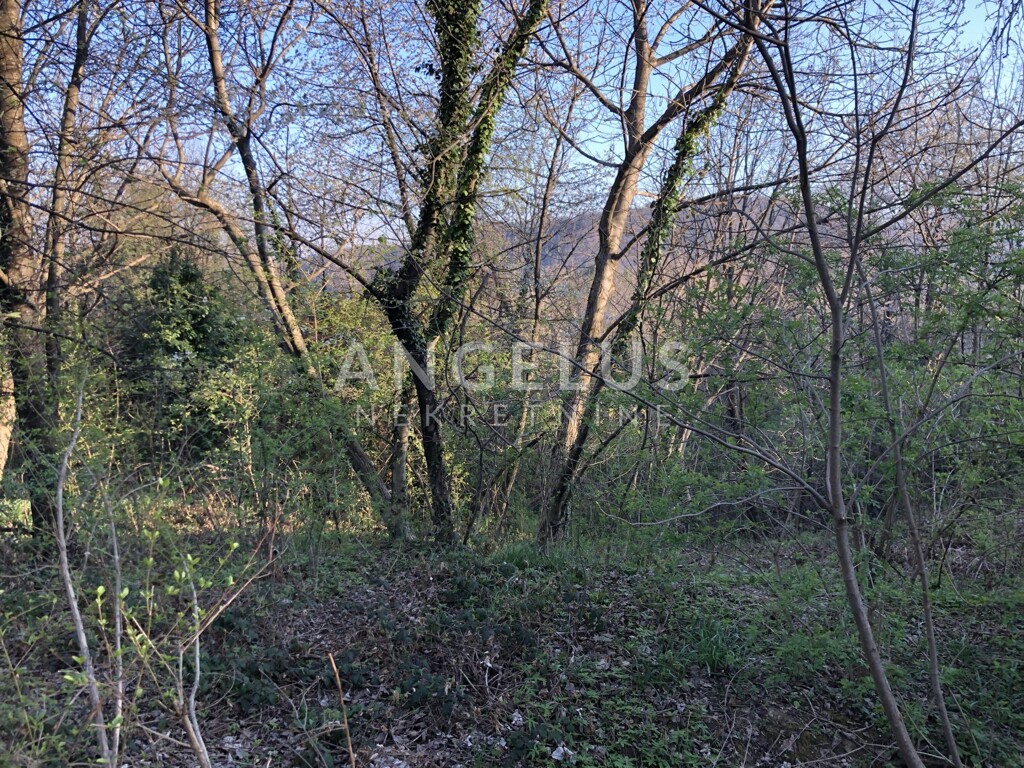 Image 6208315 - 11