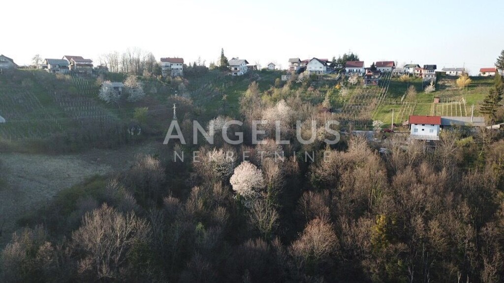 Image 6208315 - 6