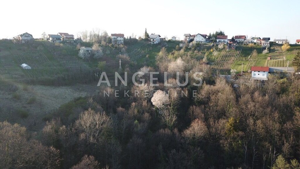 Image 6208315 - 3