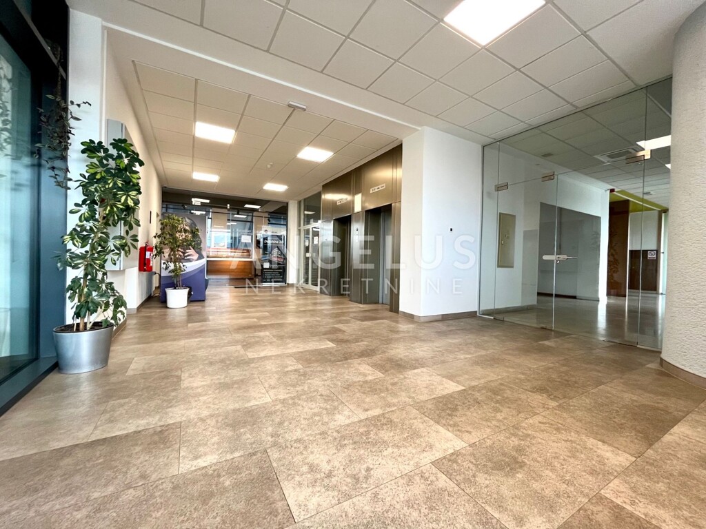 Image 6208340 - 8