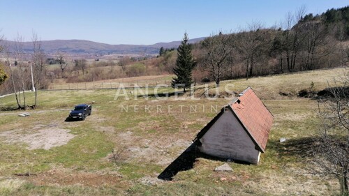 Thumbnail 6208410 - 4