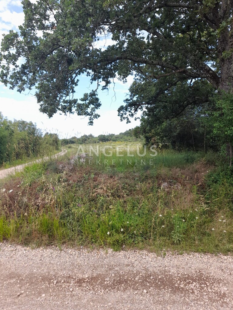 Image 6208413 - 4