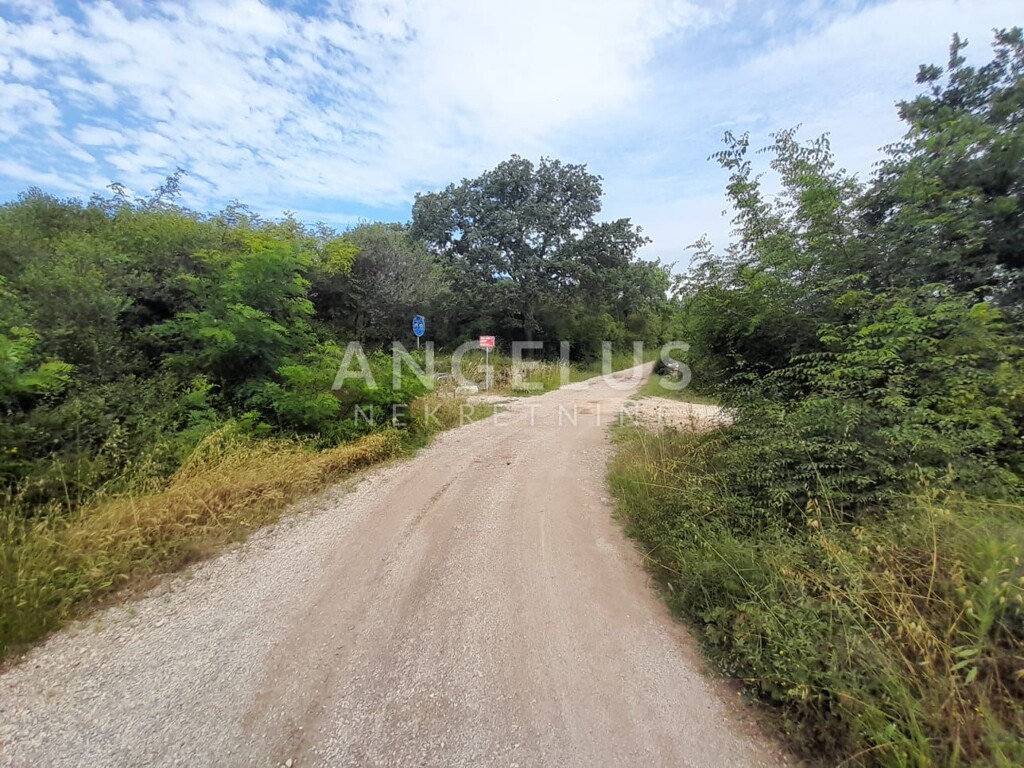 Image 6208413 - 6