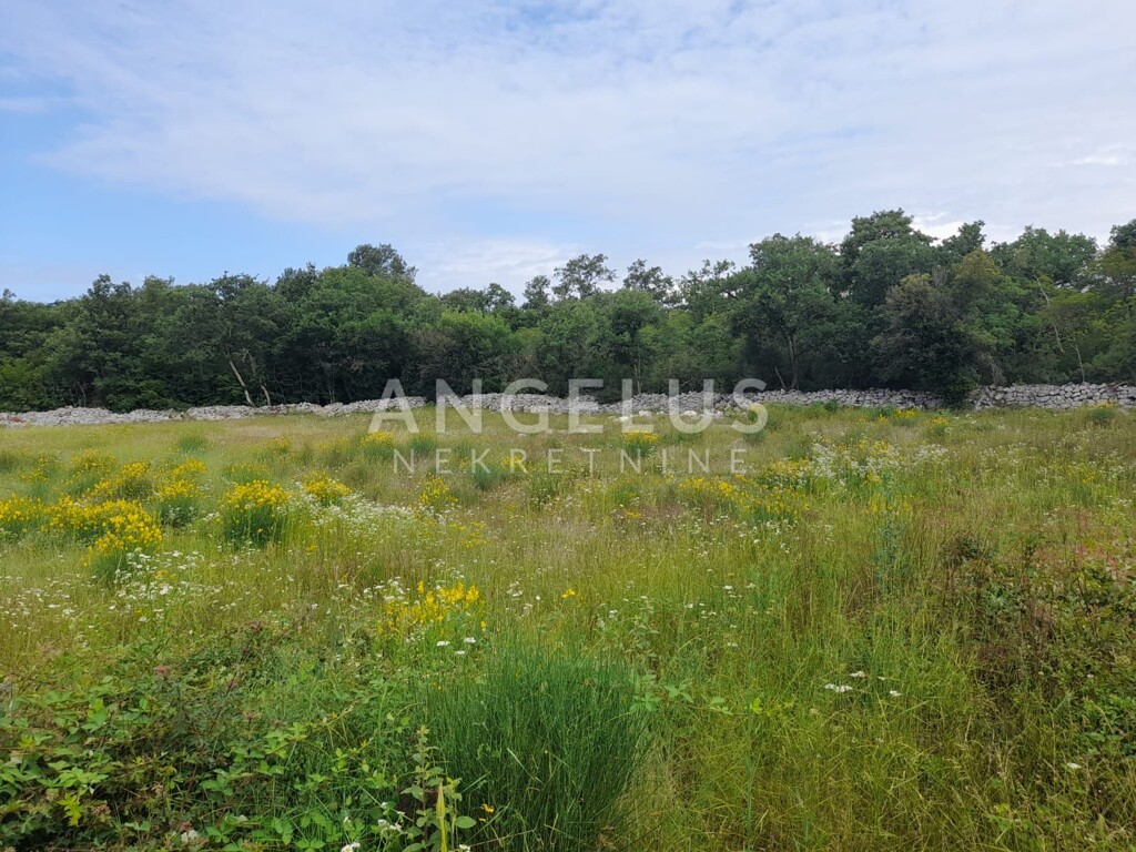 Image 6208413 - 1
