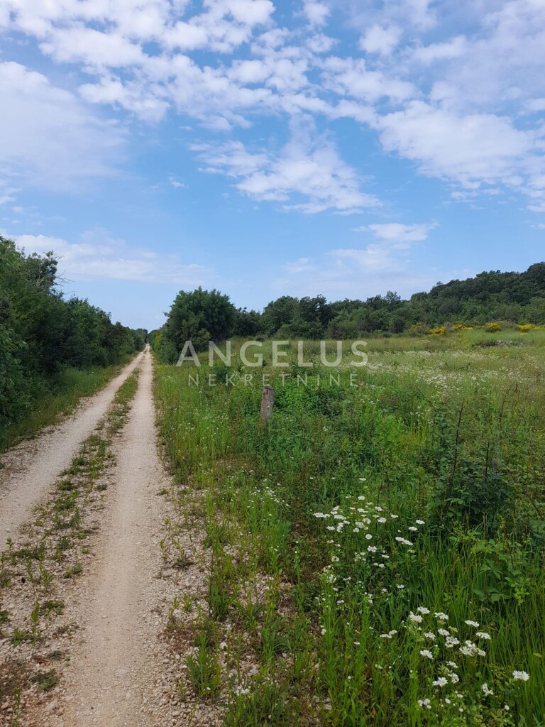 Image 6208413 - 2