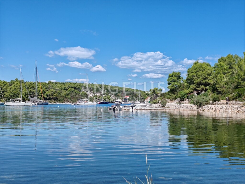 Image 6208418 - 1