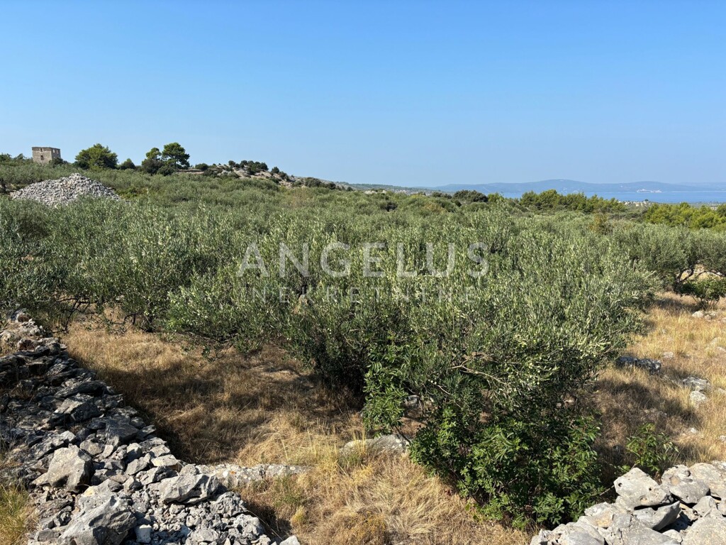 Image 6208419 - 2