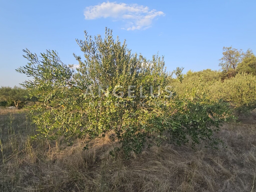 Image 6208419 - 4