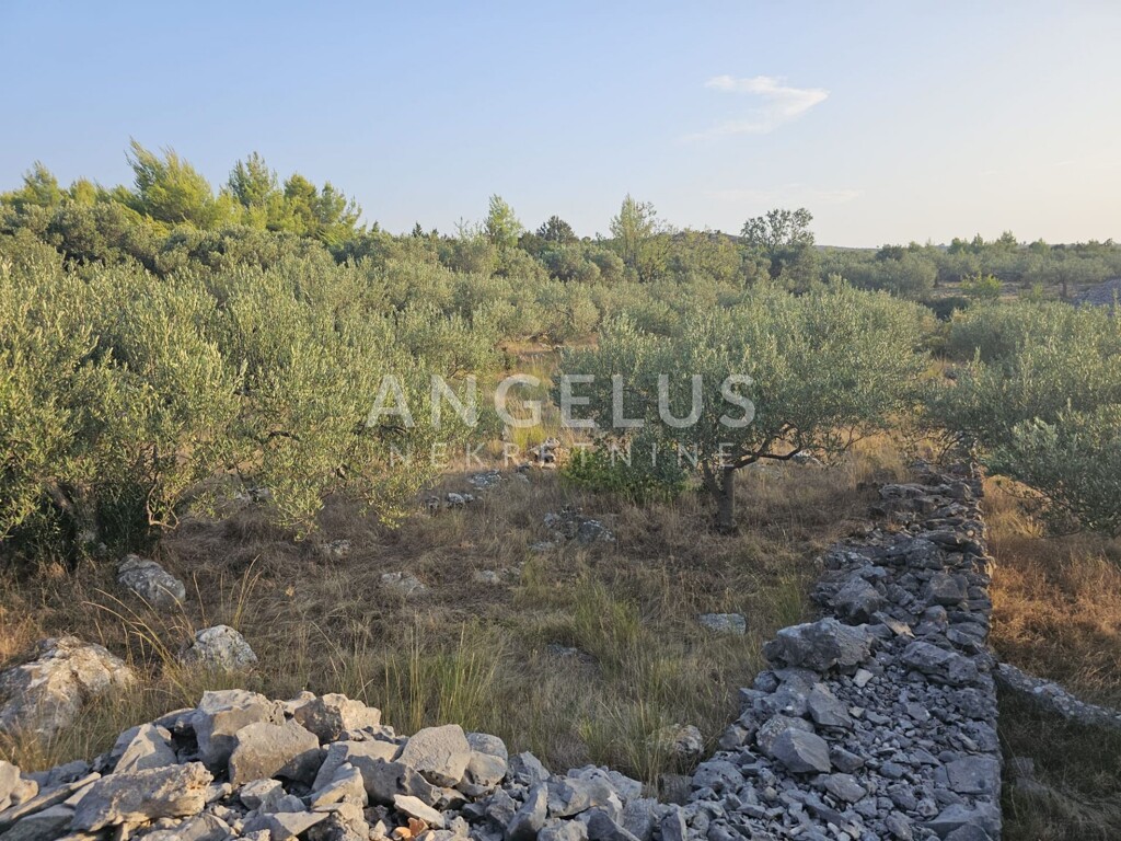 Image 6208419 - 3