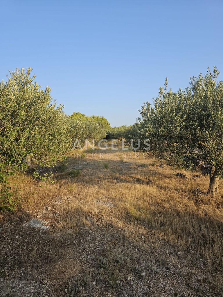Image 6208419 - 6