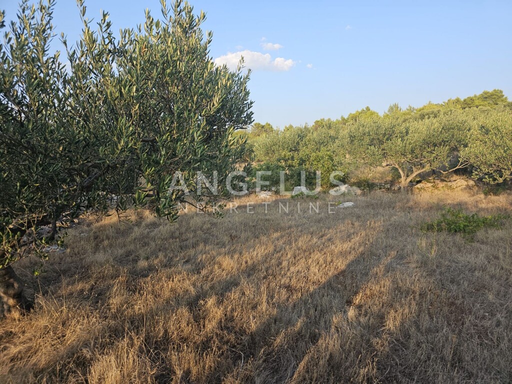 Image 6208419 - 7