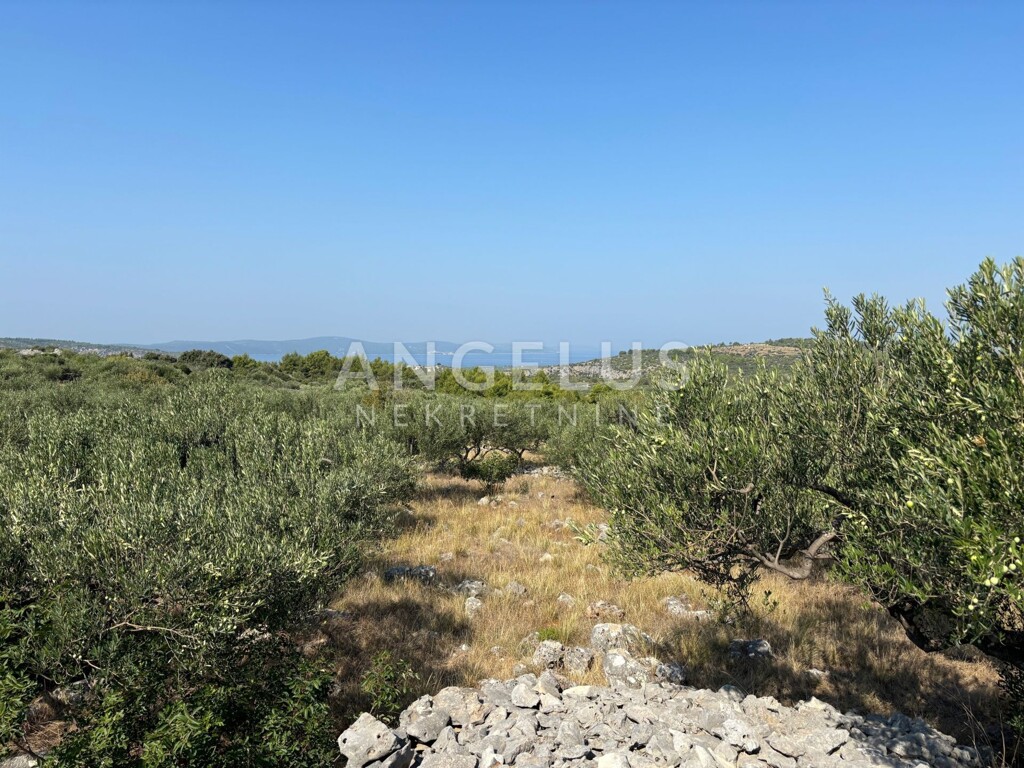 Image 6208419 - 1