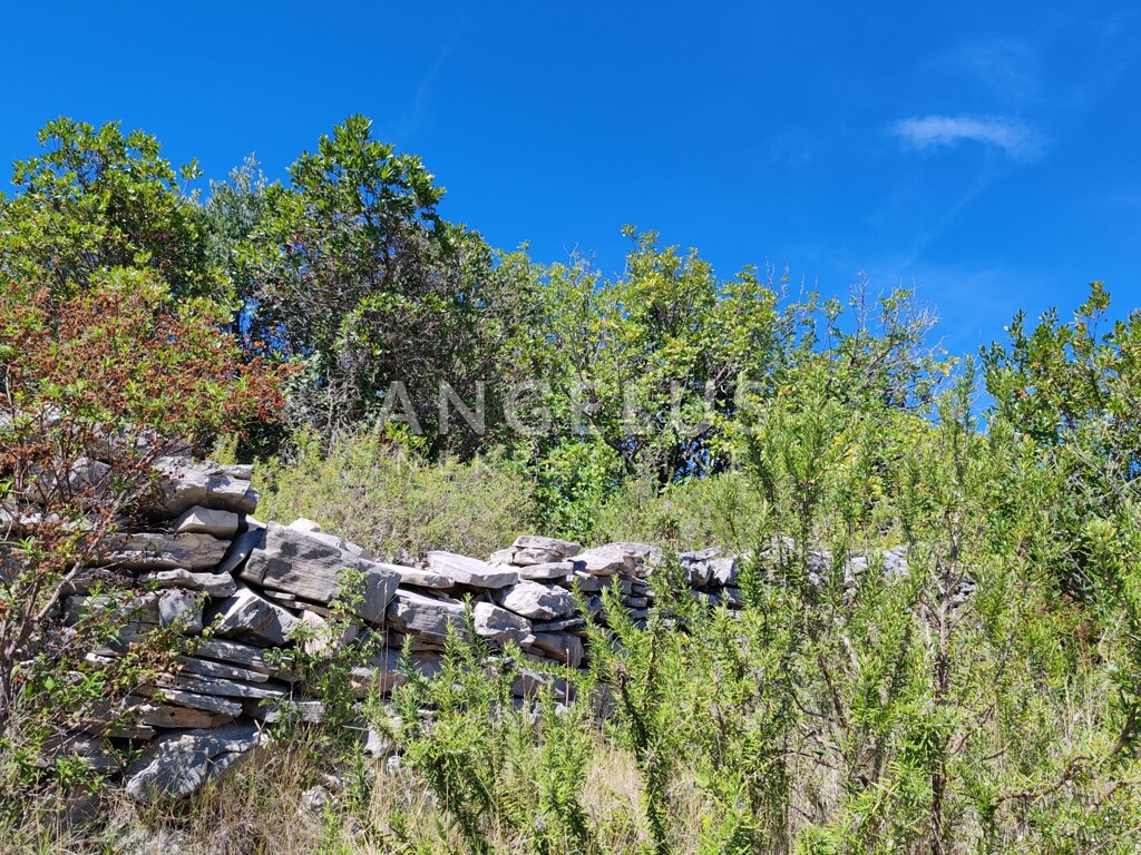 Image 6208422 - 7