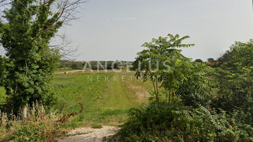 Thumbnail 6208455 - 1