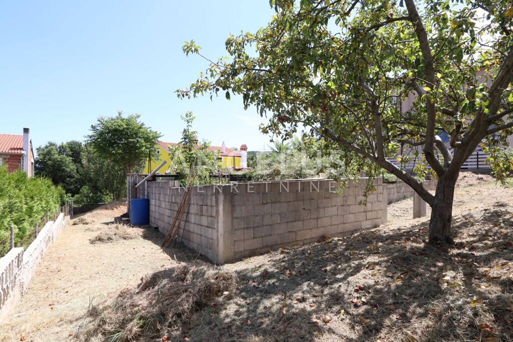 Image 6208457 - 6
