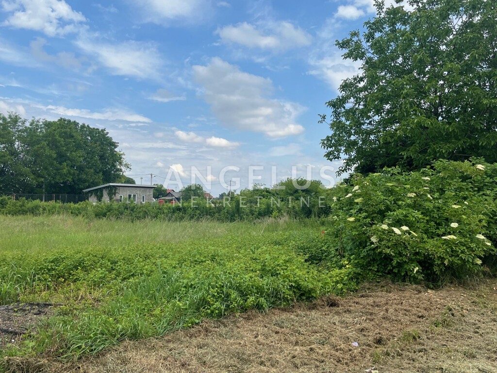 Image 6208474 - 6