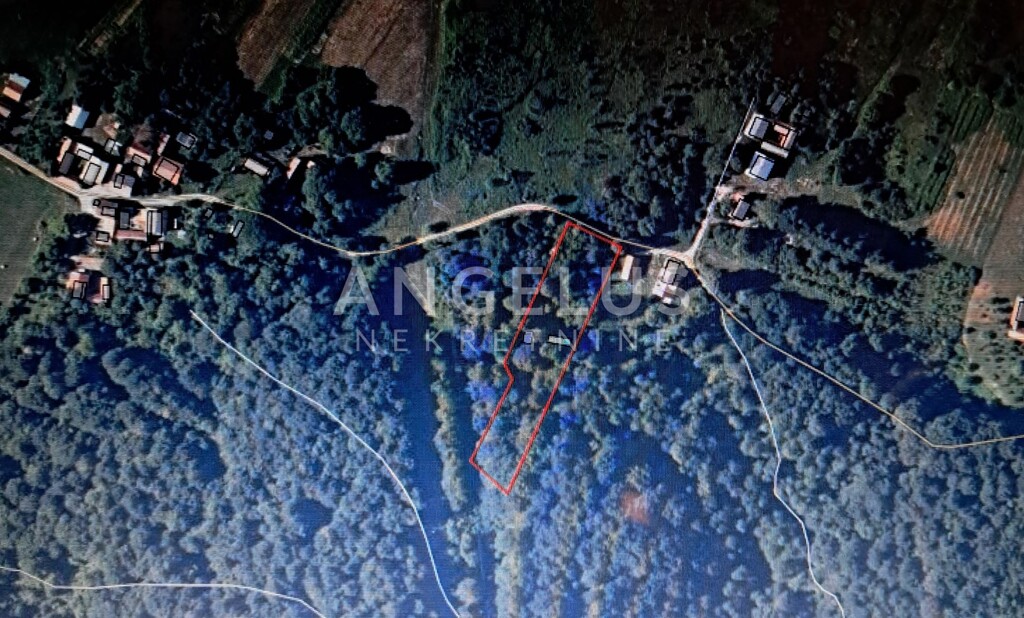 Image 6208508 - 1
