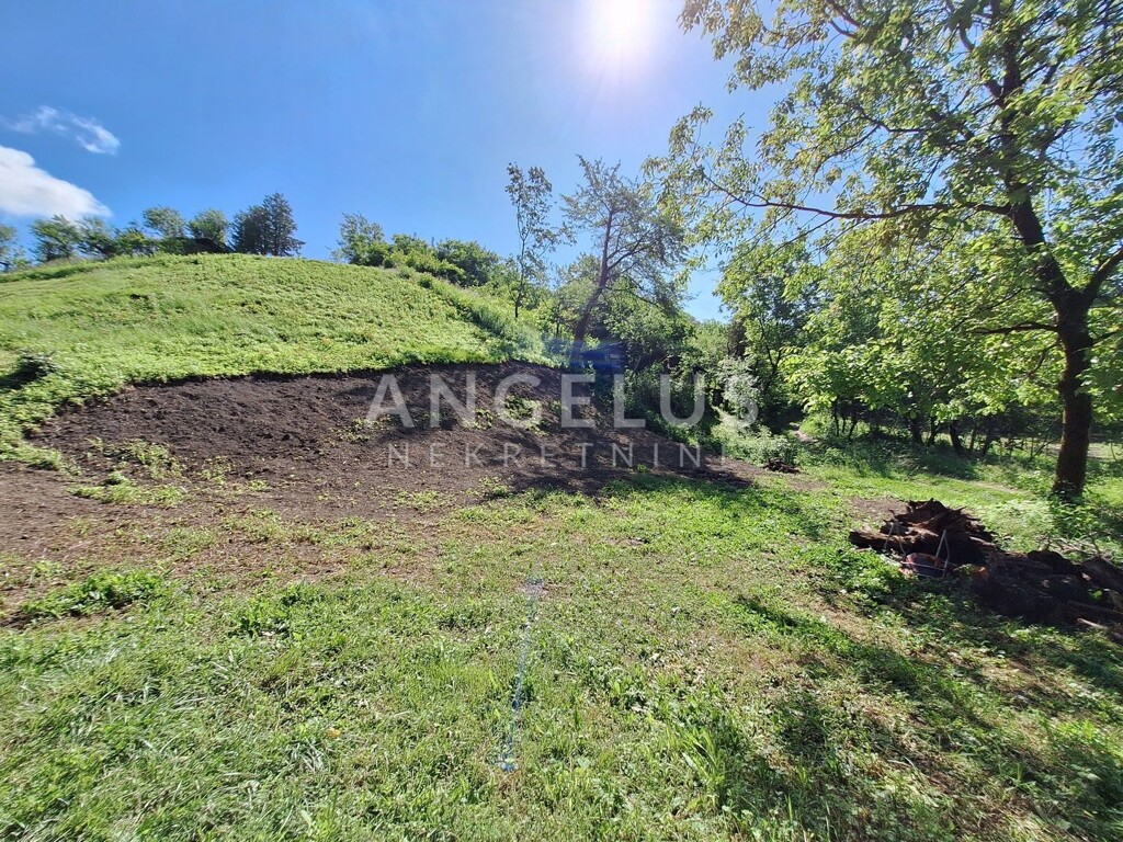 Image 6208517 - 3