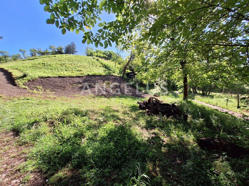 Image 6208517 - 1