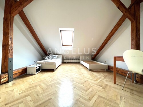 Zagreb, Tuškanac - obiteljska kuća 300m2 s vrtom