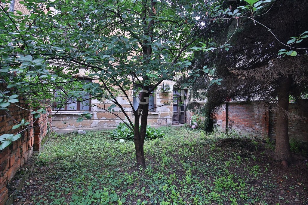 Image 6208635 - 23