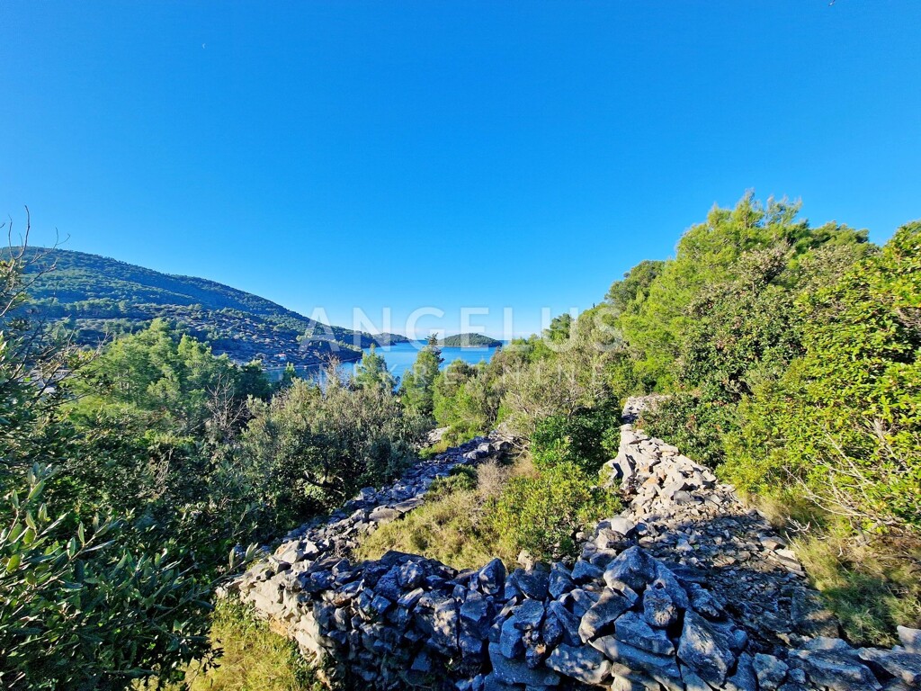Image 6208636 - 3