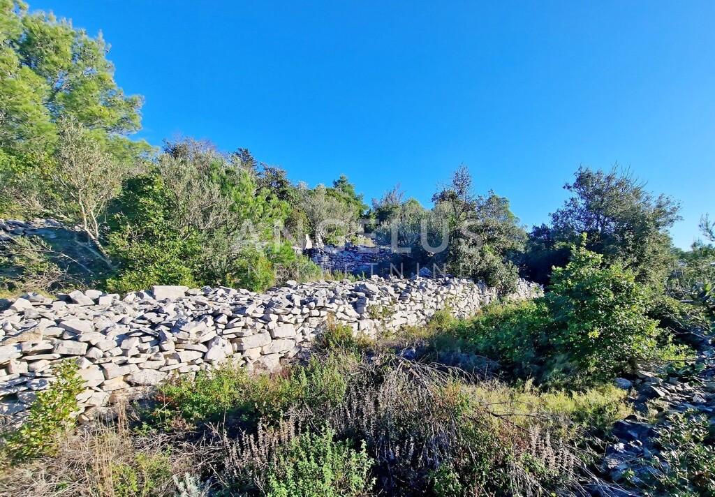 Image 6208636 - 4