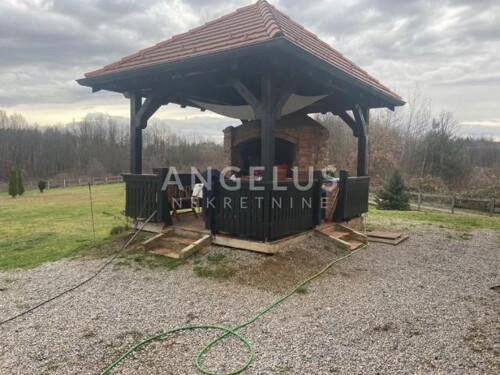 Thumbnail 6208648 - 6