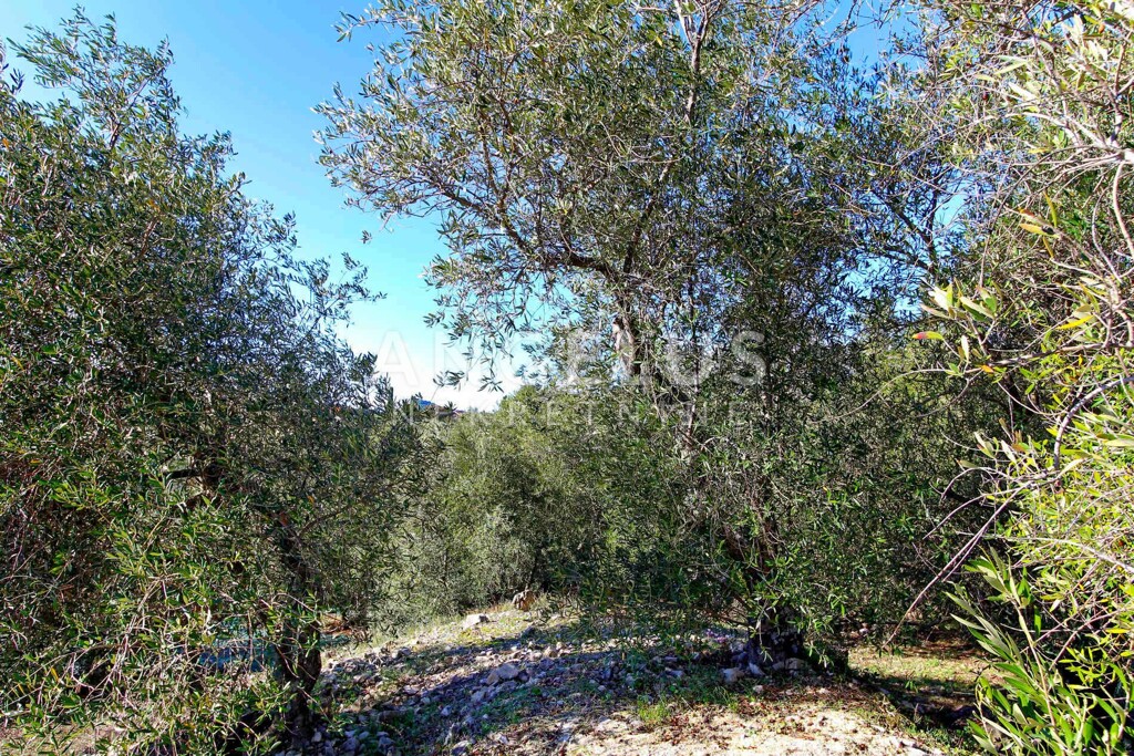 Image 6208649 - 4