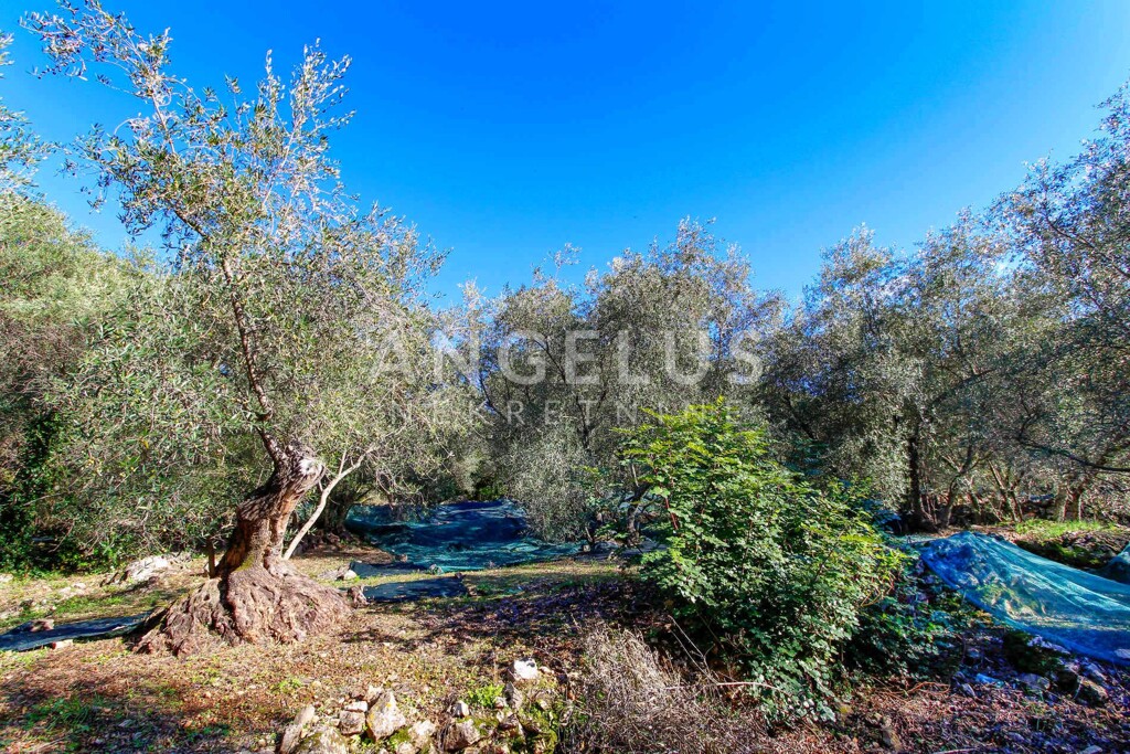 Image 6208649 - 8