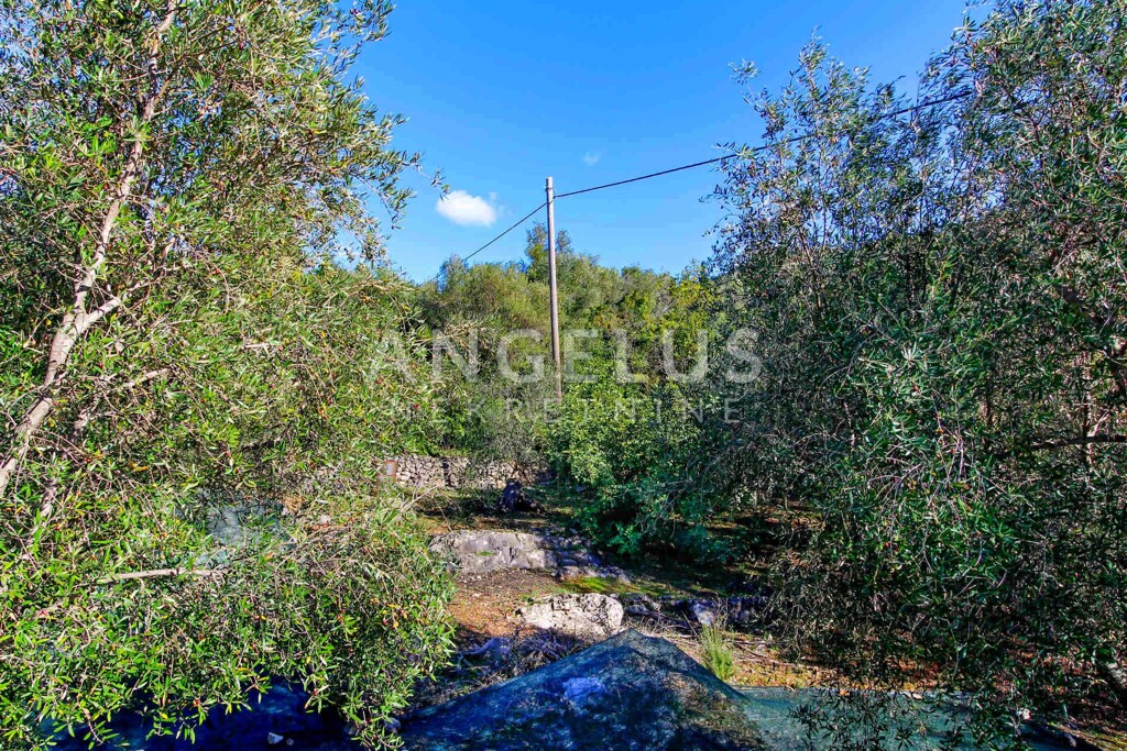 Image 6208649 - 9