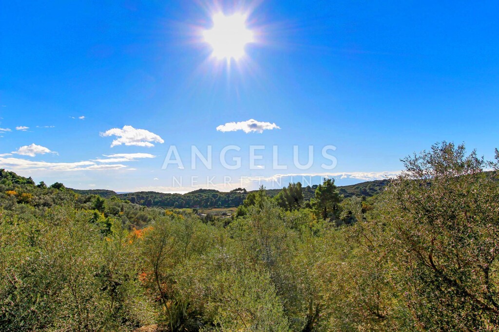 Image 6208649 - 2