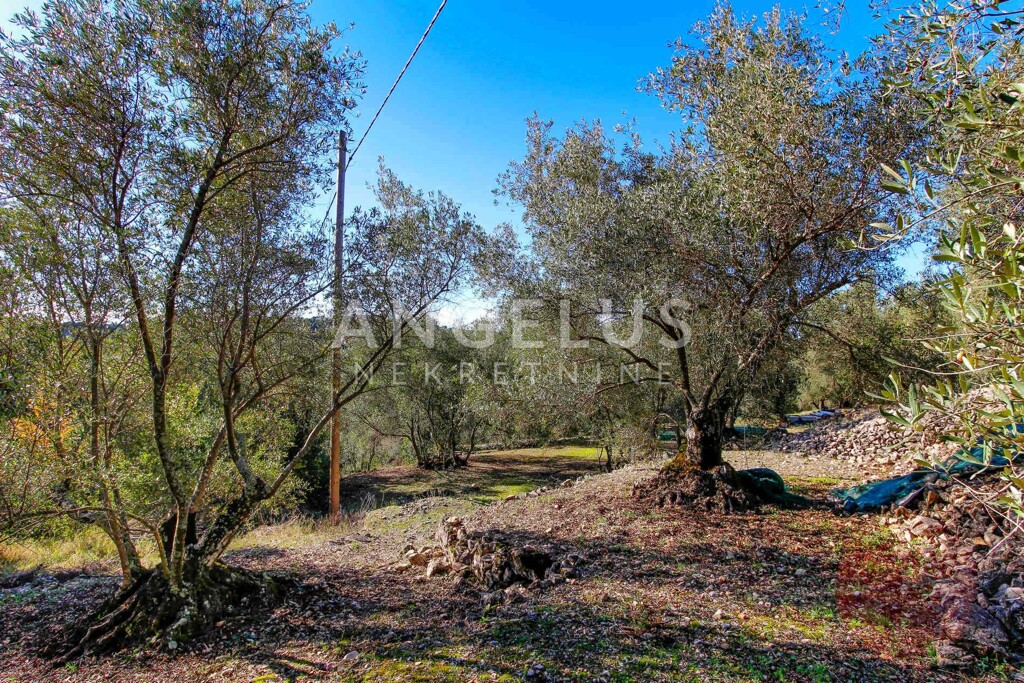 Image 6208649 - 7