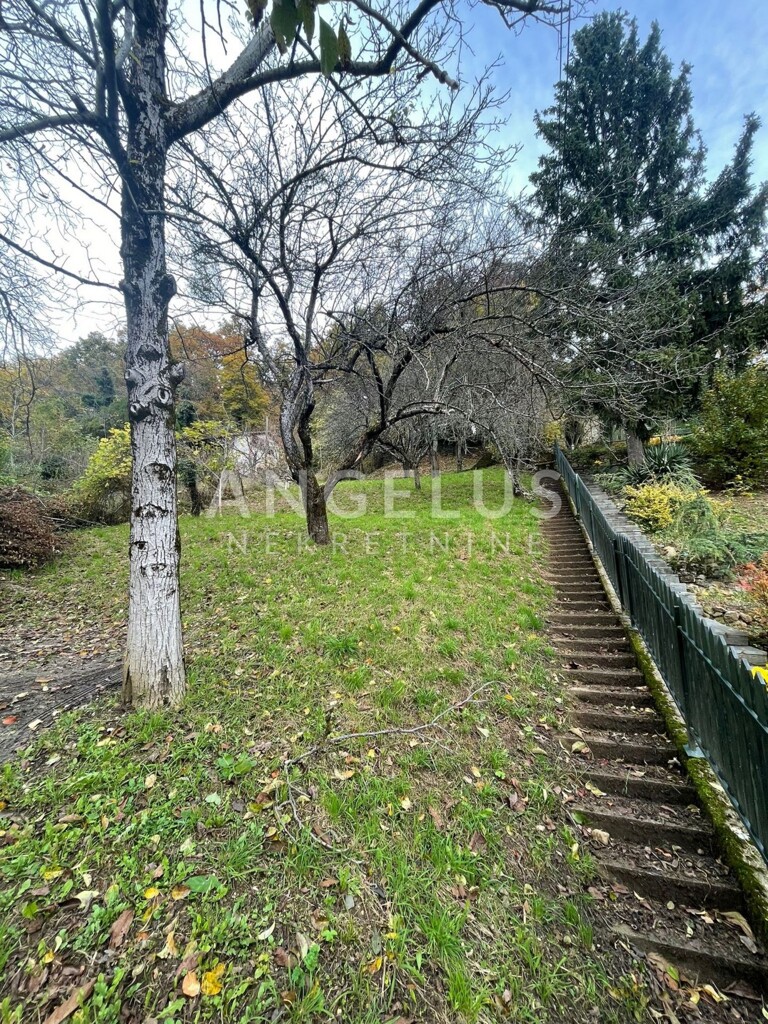 Image 6208655 - 5