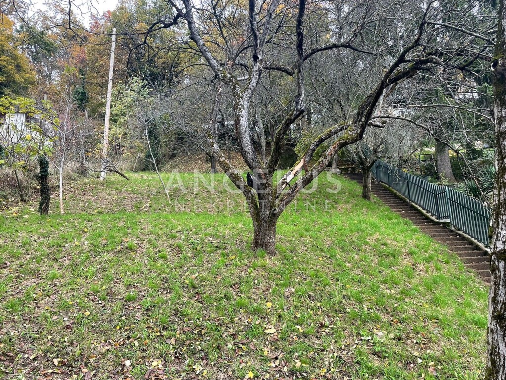 Image 6208655 - 6