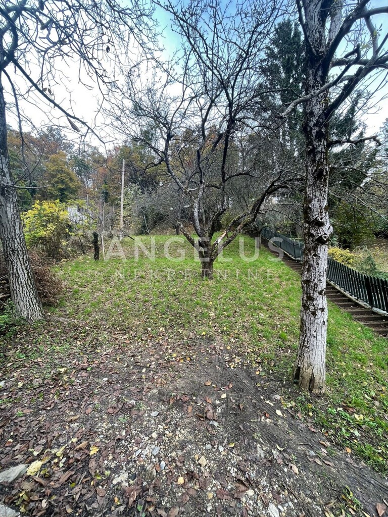 Image 6208655 - 3