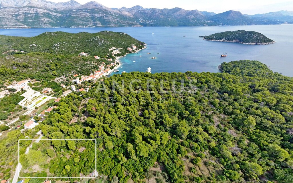 Image 6208671 - 1