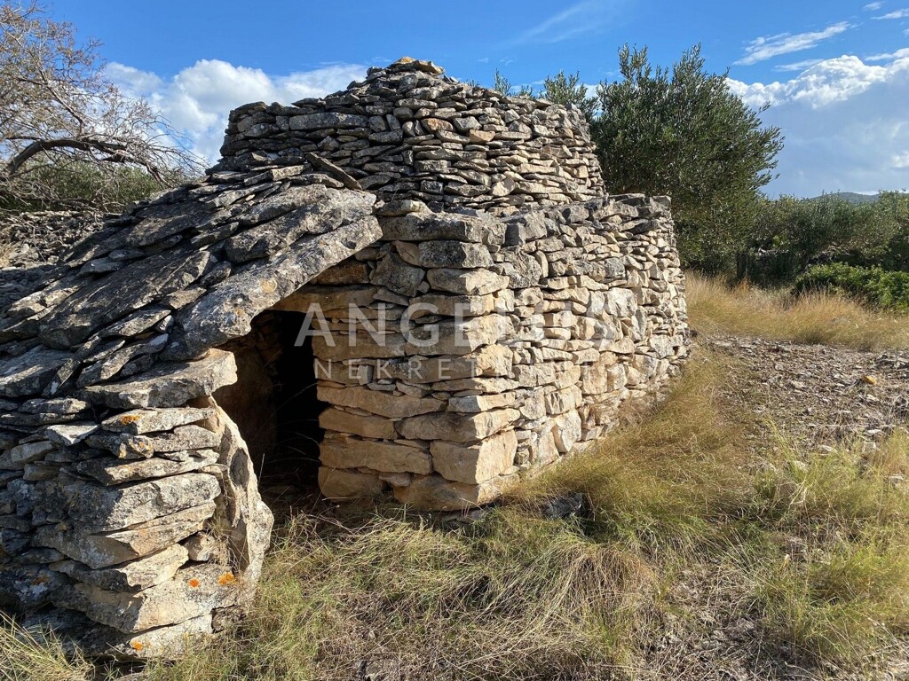 Image 6208672 - 3