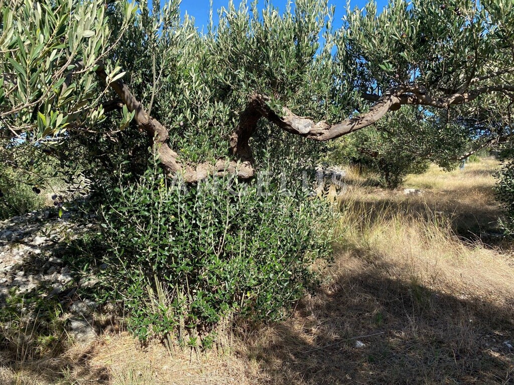 Image 6208672 - 6