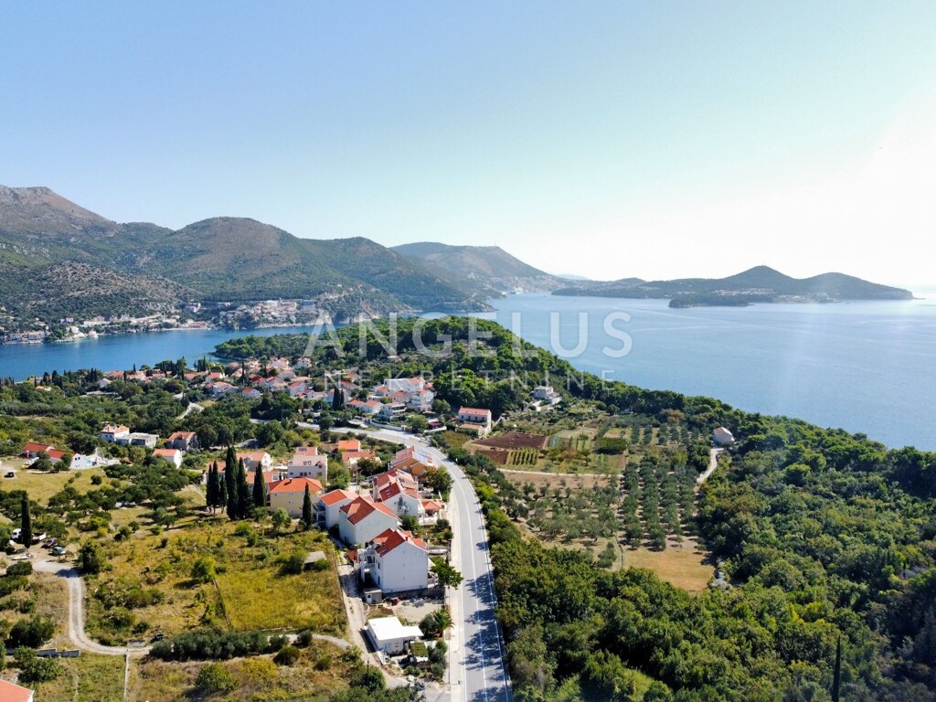Image 6208677 - 1