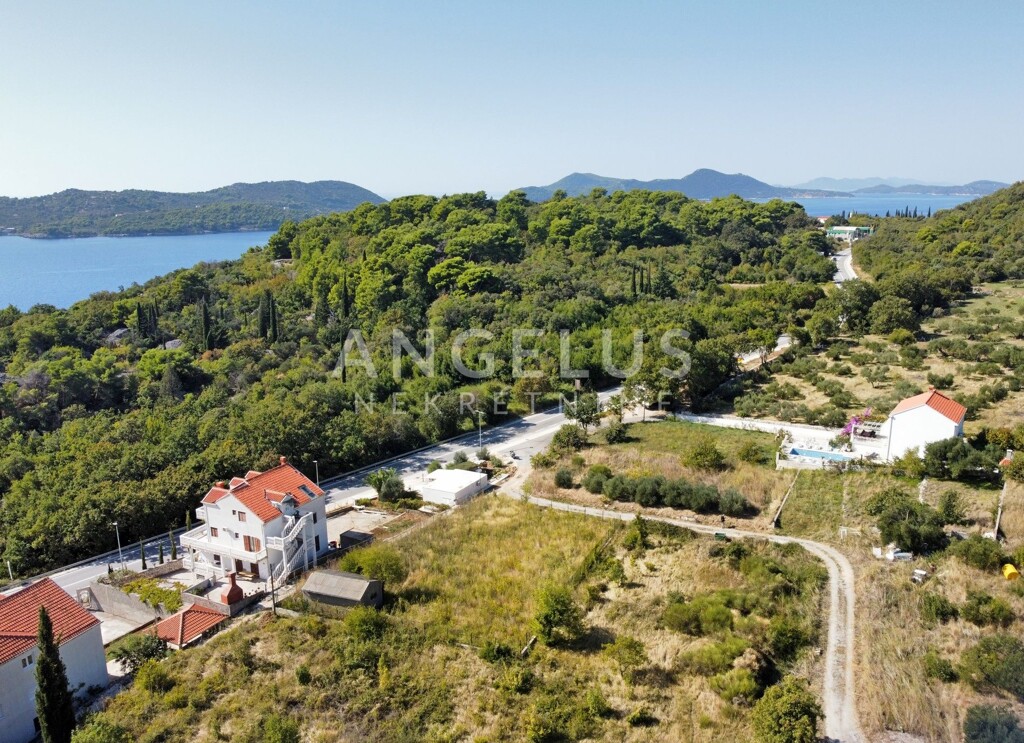 Image 6208677 - 3