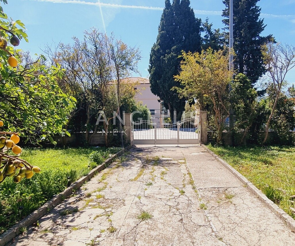 Image 6208683 - 1