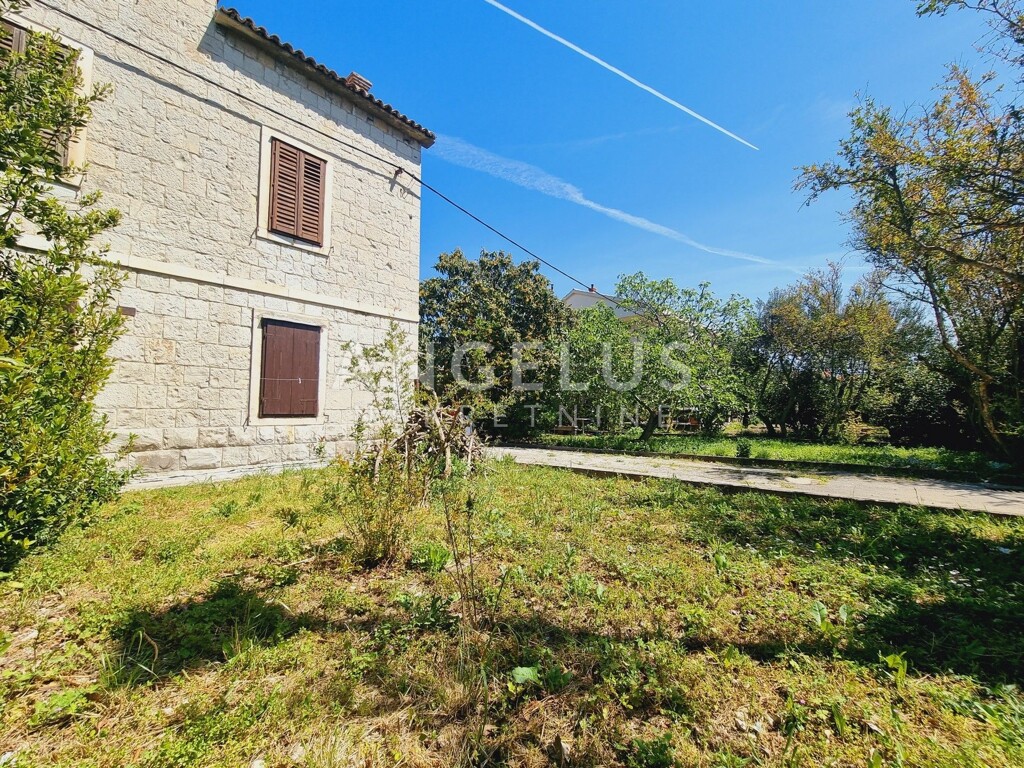 Image 6208683 - 2