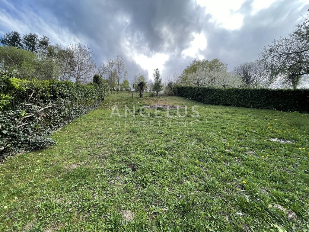 Image 6208688 - 3