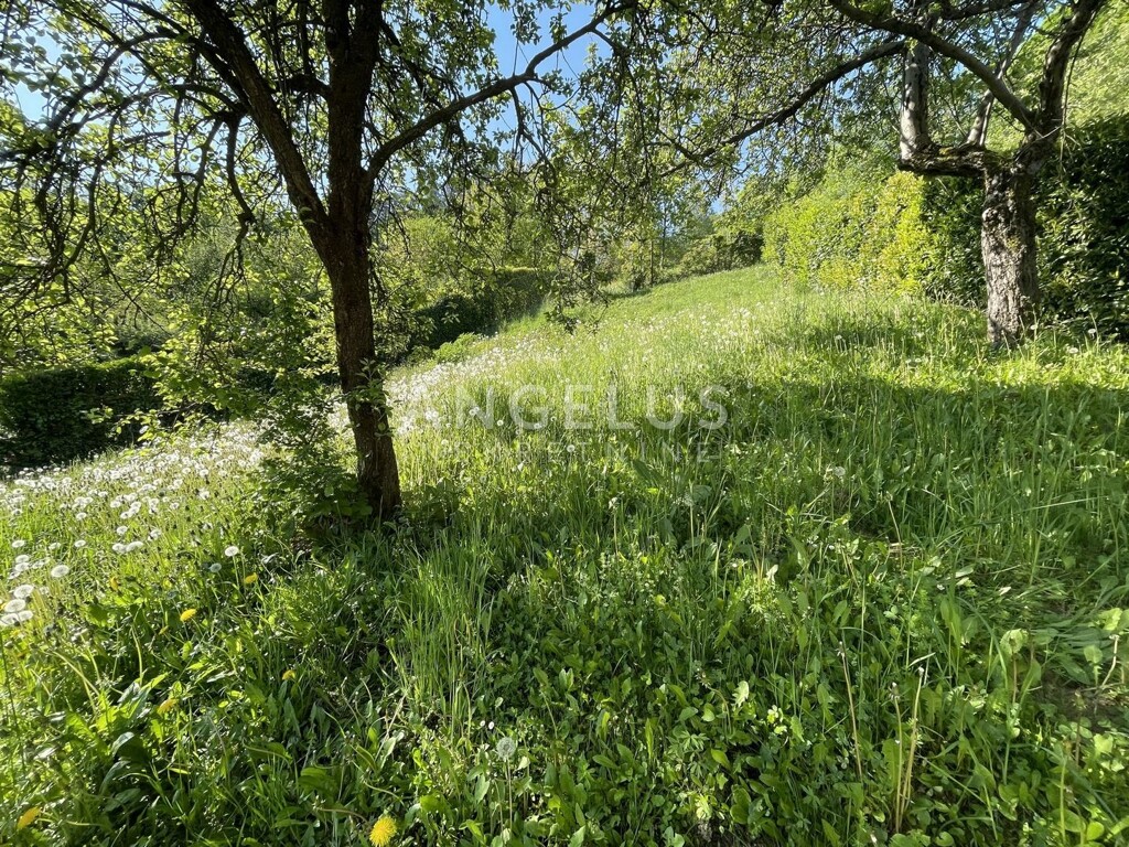 Image 6208688 - 8