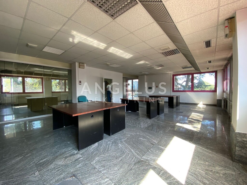 Image 6208690 - 16
