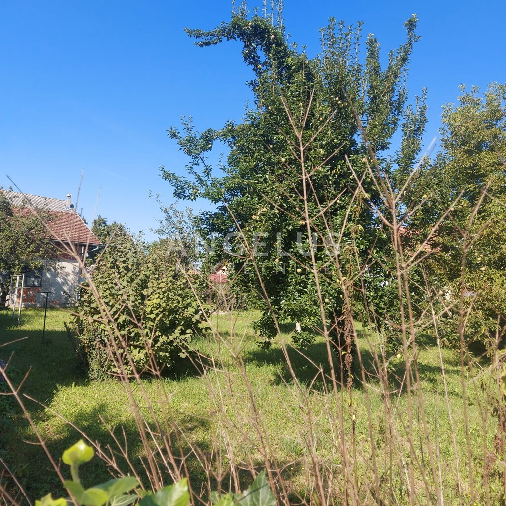 Image 6208693 - 3