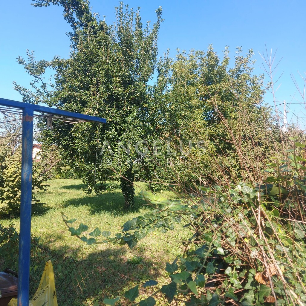 Image 6208693 - 2