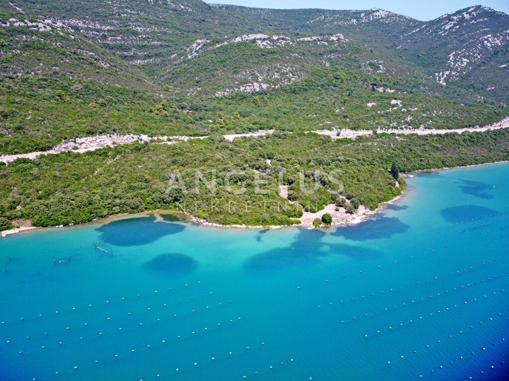 Image 6208694 - 11