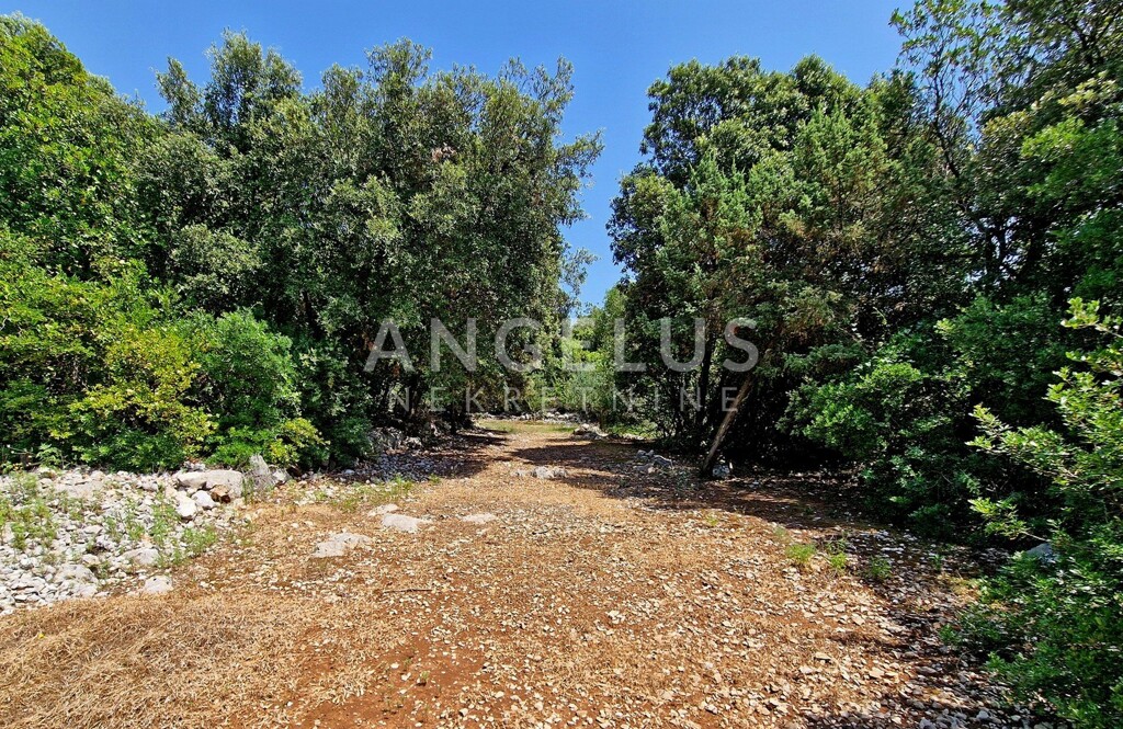 Image 6208694 - 5